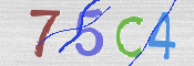 CAPTCHA-Bild